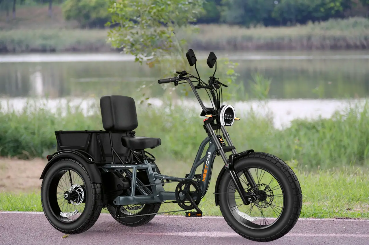 Electric Trike