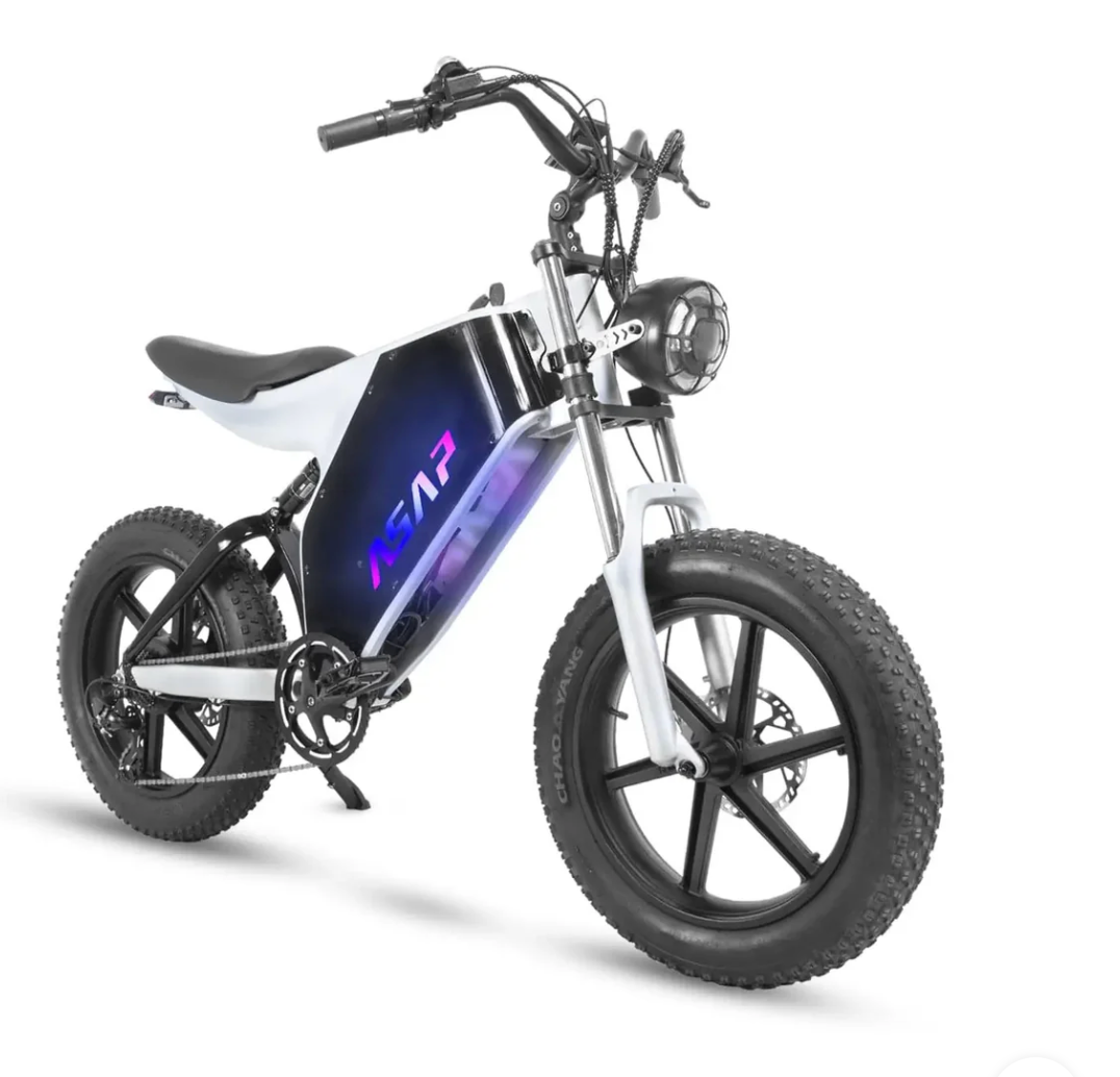ASAP Zebra Full Suspension Electric Moto Bike